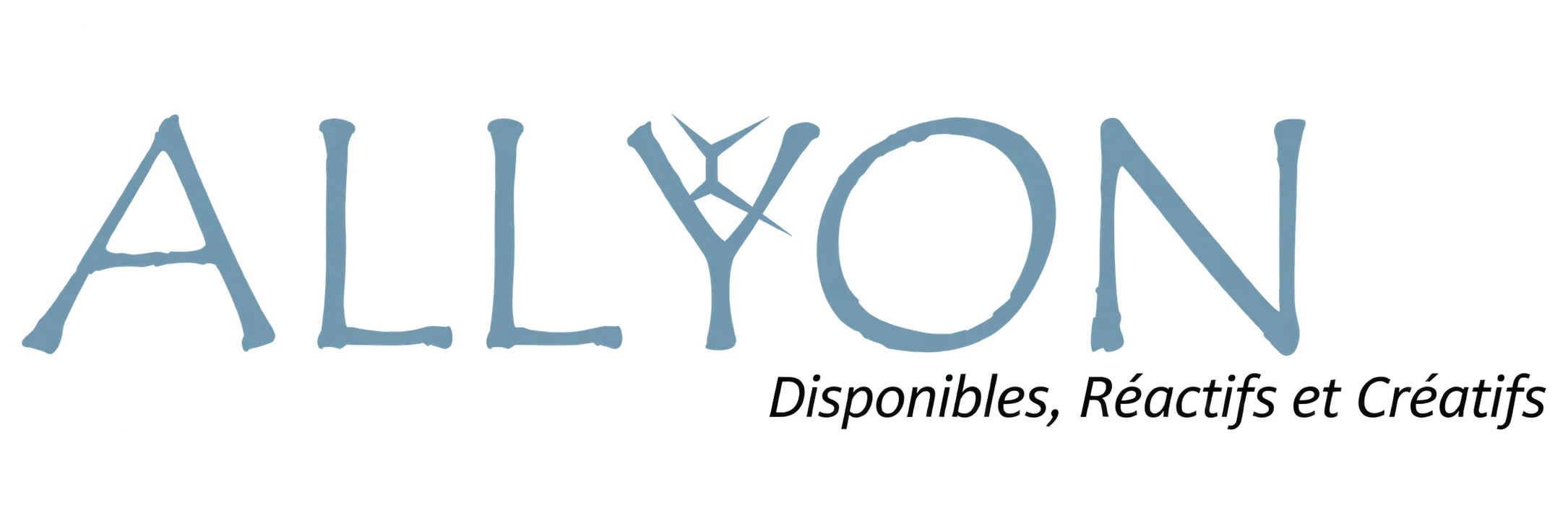 Logo et texte - Bleu-gris